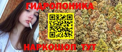 СК Туймазы