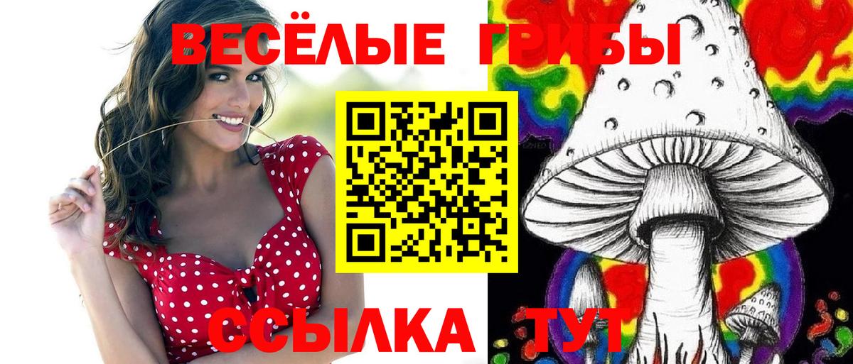 Новоуральск  наркошоп  Вход с VPN  Псилоцибиновые грибы Magic Shrooms 